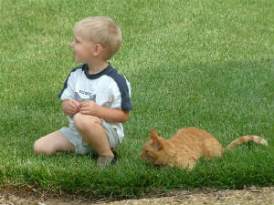 Gavin and BamBam.  No idea what they're looking at