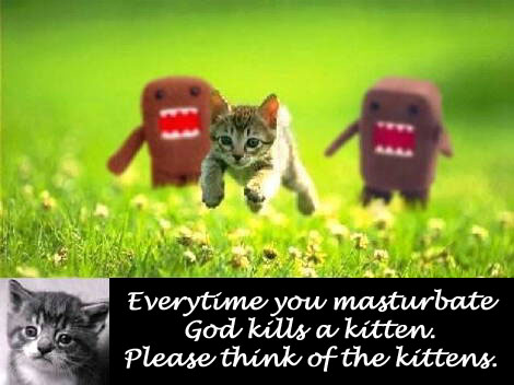 Poor poor kitty.  Evil evil you.