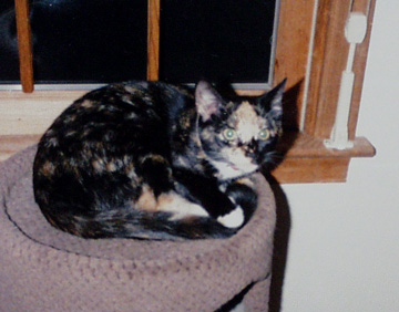"Hey. Buddy. Got any catnip? Just a dime bag? How 'bout some change for some catnip?"
